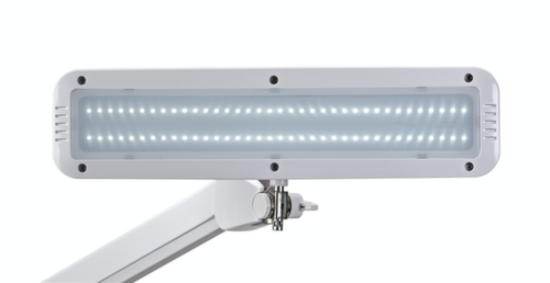 MAUL compacte LED-werkpleklamp MAULintro dimbaar, licht koudwit (daglichtwit), wit  L
