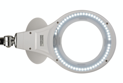 MAUL Elegante LED-loeplamp MAULmakro, licht koudwit (daglichtwit), wit  L