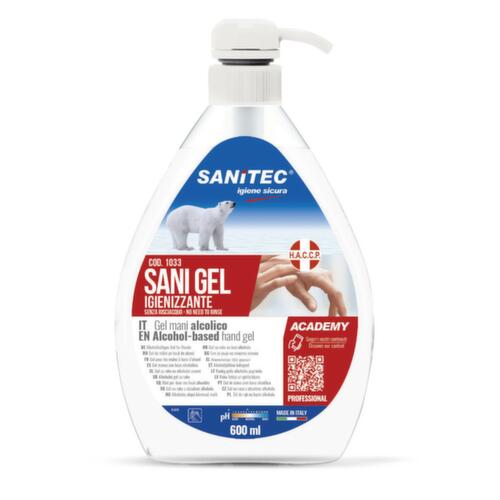 Ontsmettingsmiddel Sanigel, dispenser, inhoud 600 ml  L