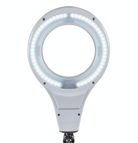 LED-loeplamp MAULmakro, licht koudwit (daglichtwit), wit  L