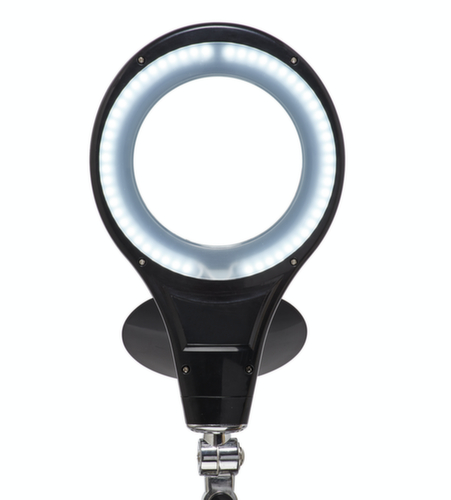 LED-loeplamp MAULmakro, licht koudwit (daglichtwit), zwart  L