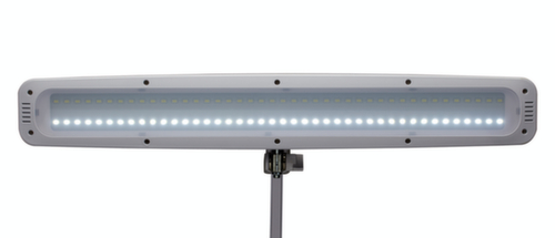 MAUL dimbare LED-tafellamp MAULwork, licht koudwit (daglichtwit), wit Missing translation L