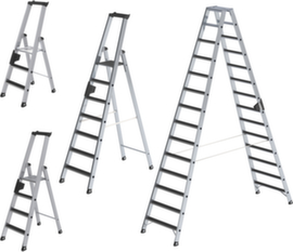 Günzburger Steigtechnik Ladder
