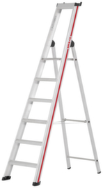 industriële ladder