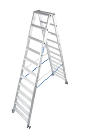 Krause Ladder op wielen