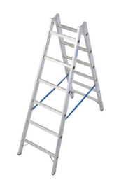 Krause Ladder