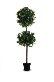 Paperflow Kunstplant laurierboom, hoogte 1650 mm