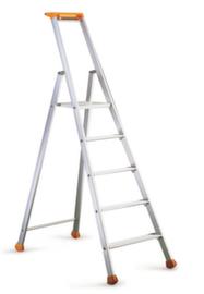 Professionele ladder