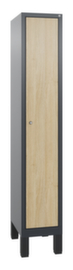 C+P Garderobe Evolo 1 compartiment met decoratieve deur, vakbreedte 300 mm