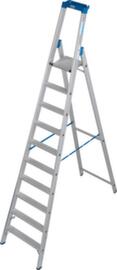 Krause Ladder STABILO® Professional, 10 treden met R13-laag