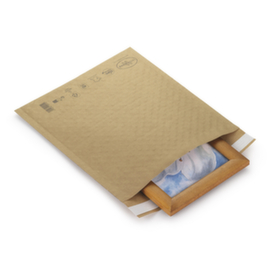 Luchtkussenenvelop