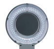 MAUL LED-loeplamp MAULviso met ronde kop, licht koudwit (daglichtwit), zwart  S