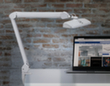 MAUL compacte LED-werkpleklamp MAULintro dimbaar, licht koudwit (daglichtwit), wit  S