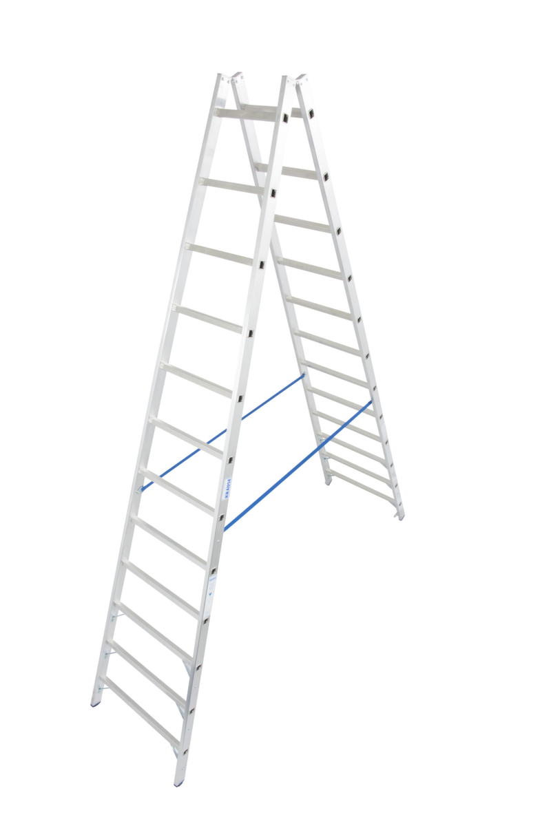 Krause Ladder  ZOOM