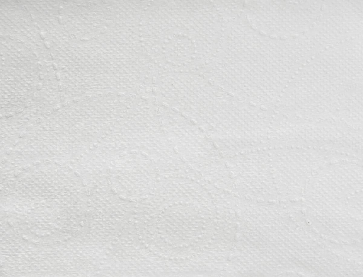 Papieren handdoeken Eco van tissue met V-vouw, cellulose  ZOOM