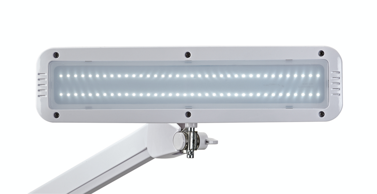MAUL compacte LED-werkpleklamp MAULintro dimbaar, licht koudwit (daglichtwit), wit  ZOOM