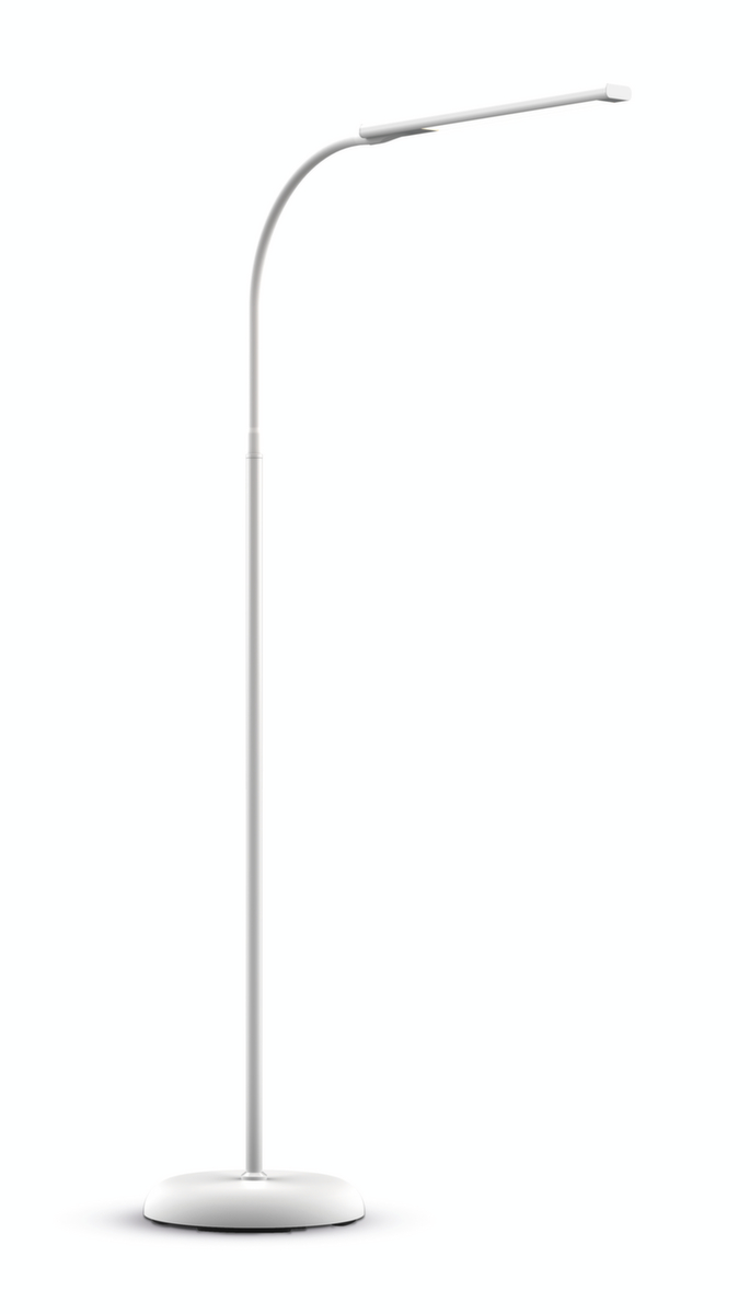 MAUL Slanke en dimbare LED-stalamp MAULpirro, licht warmwit, wit
