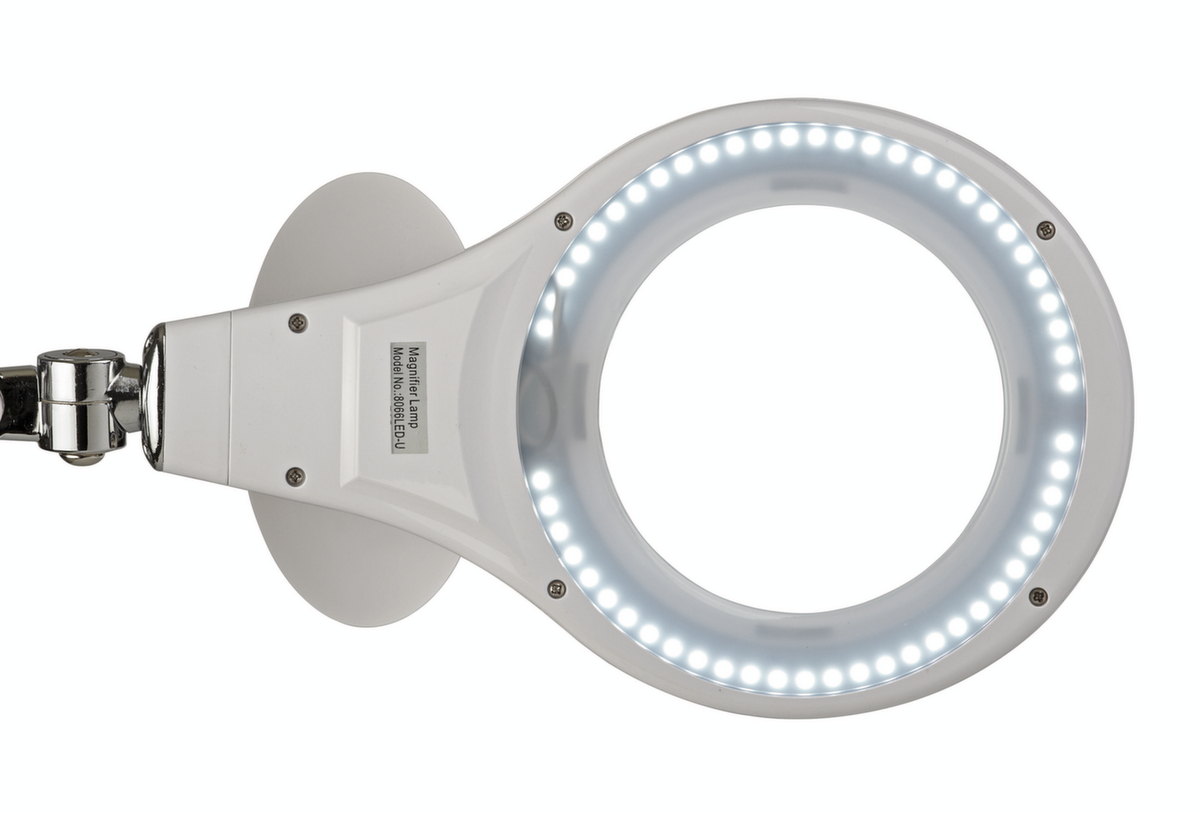 MAUL Elegante LED-loeplamp MAULmakro, licht koudwit (daglichtwit), wit  ZOOM