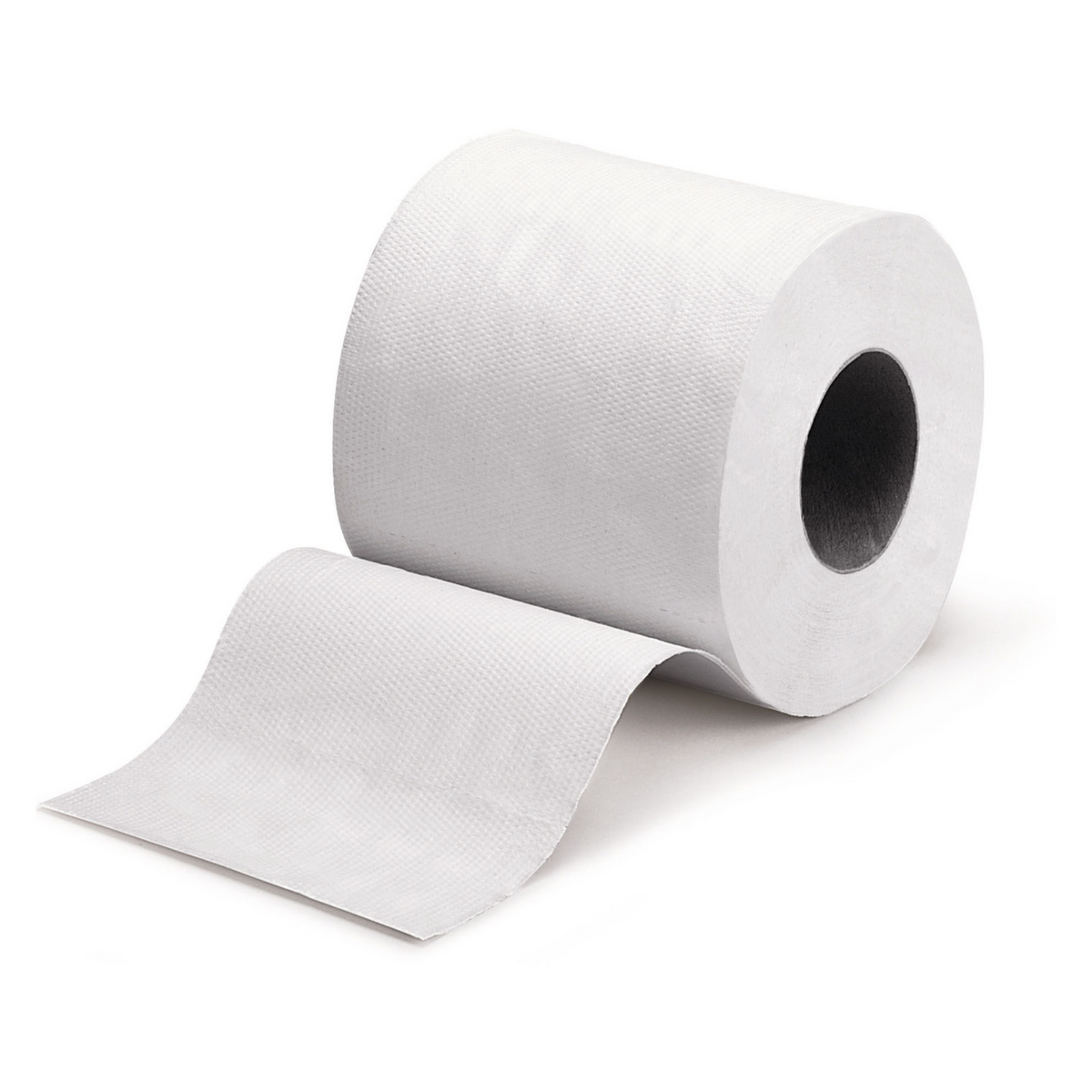 Raja Toiletpapier, tweelaags, gerecyclede cellulose  ZOOM