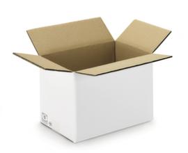 Witte golfkartonnen vouwdoos met 40 kg draagvermogen