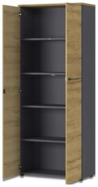 Dossierstelling GW-AGENDA