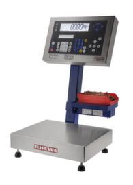 Rhewa Telweegschaalsysteem