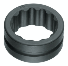 31 R 60 Inzetring voor vrijloopratels UD profiel 60 mm