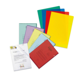 L-map Raja A4 PP 100 micron assortiment gekorreld