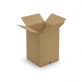 Doos van dubbelgolfkarton lengte 40 tot 60 cm Raja 40 x 40 x 60 cm