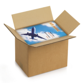 Doos van dubbelgolfkarton lengte 40 tot 60 cm Raja 45 x 45 x 30 cm