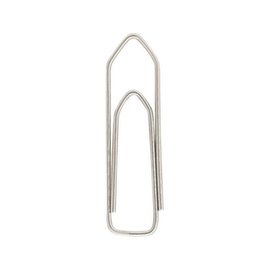 Paperclips Raja 32 mm 100 stuks