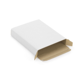 Brievenbusdoos wit 35 x 16 x 2,5 cm