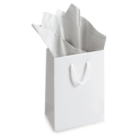 Zilver zijdepapier Raja 50x75cm