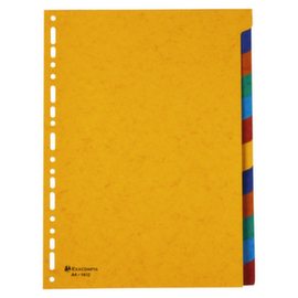 Set tabbladen zonder opdruk glanskarton: 12 zijlijnen